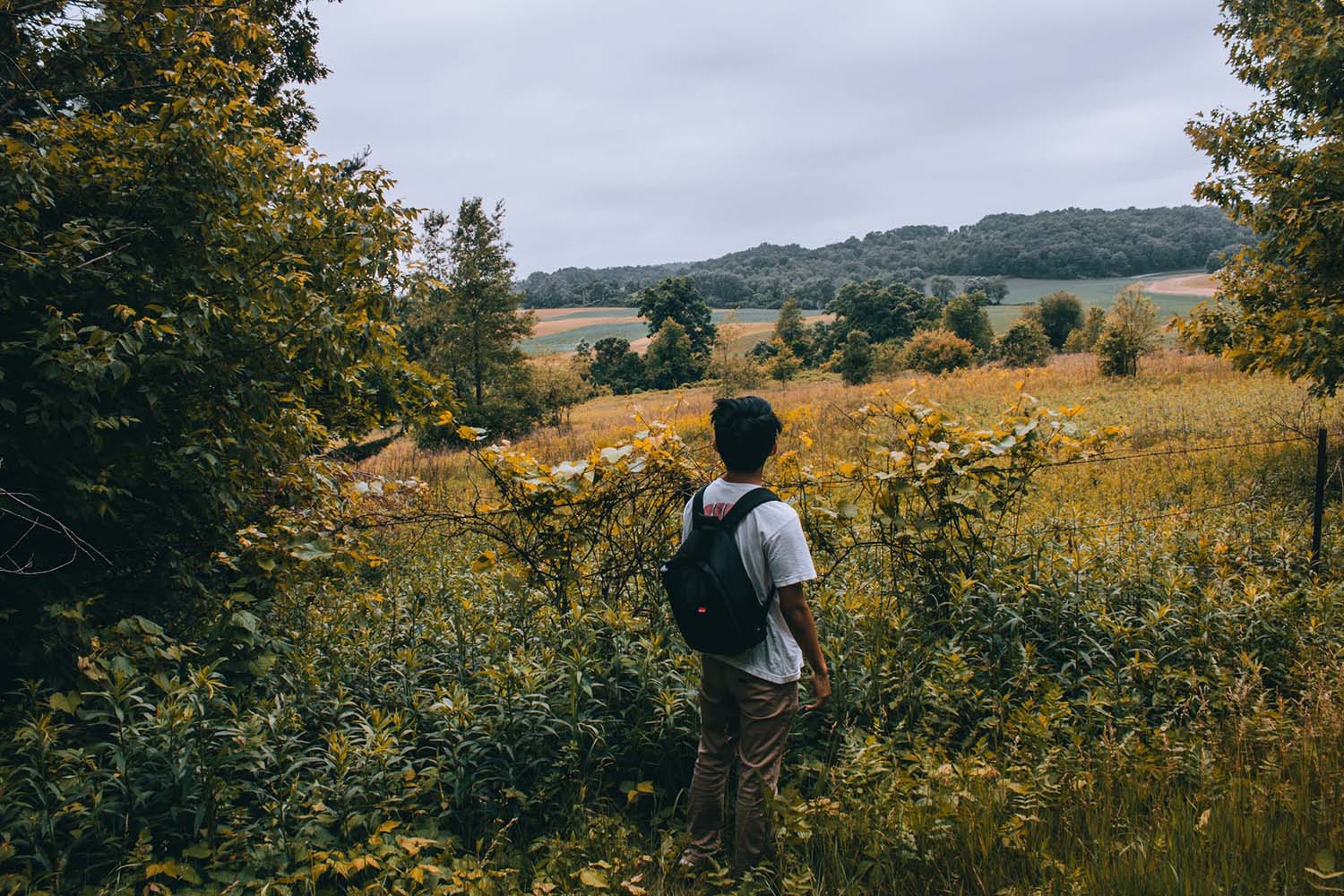 Photography Ideas for Landscape Phtoosa